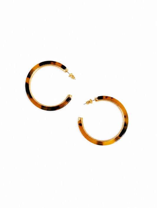 Tortoise Hoops